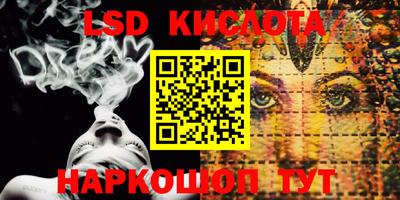 крисы Гусев