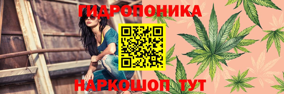 Конопля индика  Вход с VPN  Канабис планчик  Бошки марихуана тримм  Мценск 